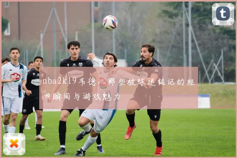 nba2k19韦德,那些被球迷铭记的经典瞬间与游戏魅力
